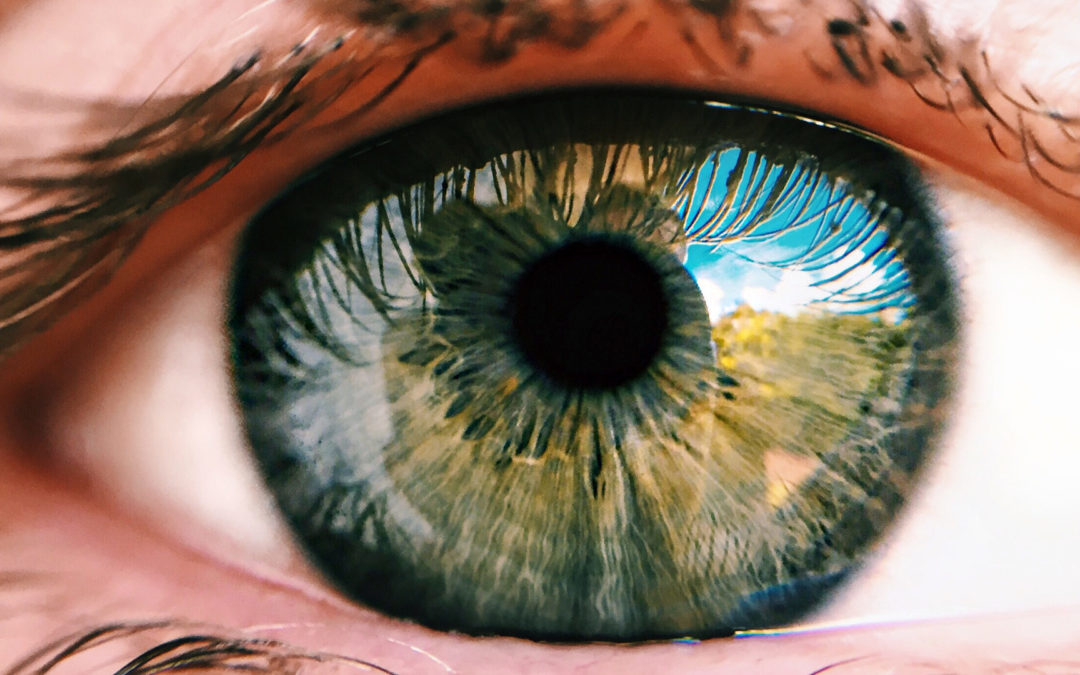 Conoce cuáles son los nutrientes esenciales para la salud ocular